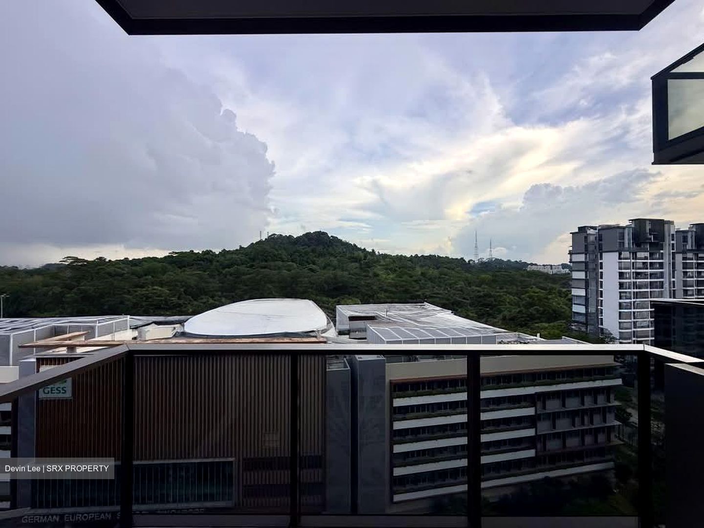 The Botany At Dairy Farm (D23), Condominium #574404591